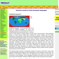 Common words of Indo European languages