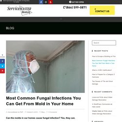 Common Fungal Infections You Can Get From Mold in Your Home