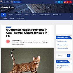 6 common health problems in cats- Bengal kittens for sale in PA