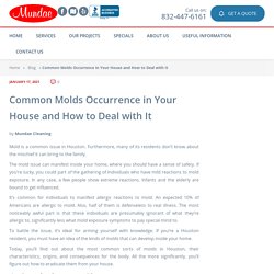 Common Molds Occurrence in Your House and How to Deal with It