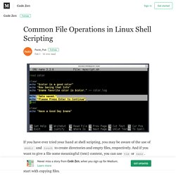 Common File Operations in Linux Shell Scripting – Code Zen