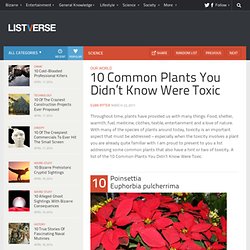 10 Common Plants You Didn’t Know Were Toxic