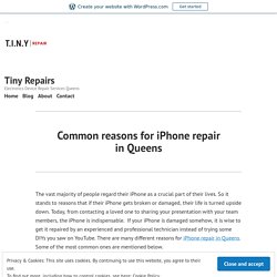 Common reasons for iPhone repair in Queens – Tiny Repairs