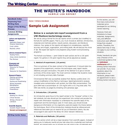 uw-madison writing center writer&#039;s handbook