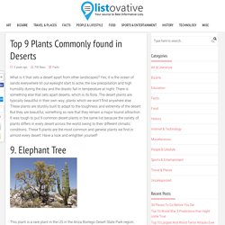 Top 9 Plants Commonly found in Deserts - Listovative