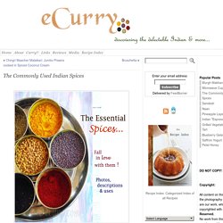 The Commonly Used Indian Spices