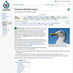 Commons:Quality images