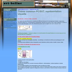 Thème commun PC/SVT: représentation visuelle - svt-bellac