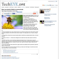 Bees use electric fields to communicate - High energy communication is bees' knees