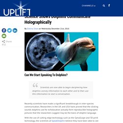 Science Shows Dolphins Communicate Holographically