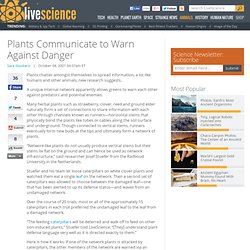 Plants Communicate to Warn Against Danger