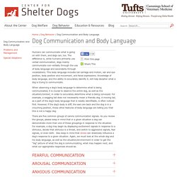 Dog Communication and Body Language