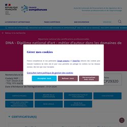 RNCP29320 - DNA - Diplôme national d'art - métier d'auteur dans les domaines de l'art de la communication et du design - France Compétences