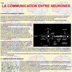 Communication entre neurones