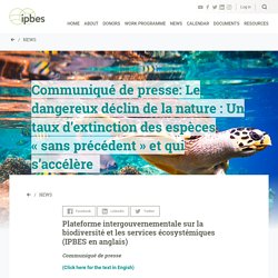 Communiqué de presse: Le dangereux déclin de la nature : Un taux d’extinction des espèces « sans précédent » et qui s’accélère  