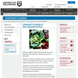 Community Garden - Campus Environment @ UOW