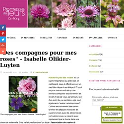 Des compagnes pour mes roses - Isabelle Olikier-Luyten