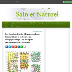 Les tomates détestent les concombres: les secrets de la technique du compagnonnage + de multiples combinaisons de plantation