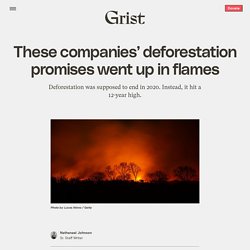 22 mars 2021 These companies’ deforestation promises went up in flames