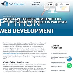 Which are The Best Companies for Python Web Development in Pakistan