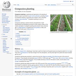 Companion planting