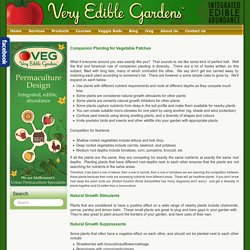 Companion Planting for Vegetables - Very Edible Gardens