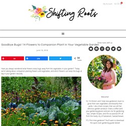 Goodbye Bugs! 14 Flowers to Companion Plant in Your Vegetable Garden