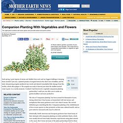 Companion Planting With Vegetables and Flowers - Organic Gardening