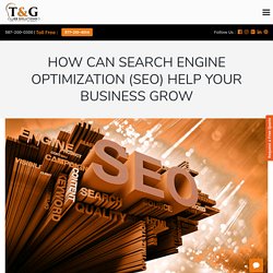 Cheap SEO Marketing Calgary