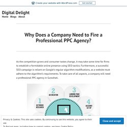 Why Does a Company Need to Hire a Professional PPC Agency?