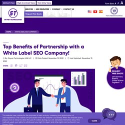 Why do you need to partner with a white-label SEO company? - Skynet Technologies USA LLC