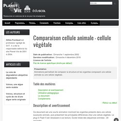 Comparaison cellule animale - cellule végétale