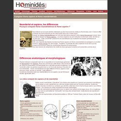 Comparaison Neandertal Sapiens - Anatomie - Culture- Hominidés