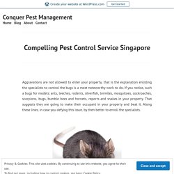 Compelling Pest Control Service Singapore