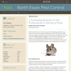 5 Compelling Reasons To Hire Professionals To Get Rid of Pests - North Essex Pest Control : powered by Doodlekit