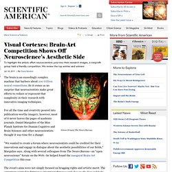 Visual Cortexes: Brain-Art Competition Shows Off Neuroscience's Aesthetic Side