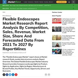 Flexible Endoscopes Market Research Report Analysis By Competition, Sales, Revenue, Market Size, Share And Forecasted Data From 2021 To 2027 By ReportMines