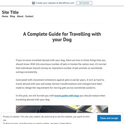A Complete Guide for Travelling with your Dog
