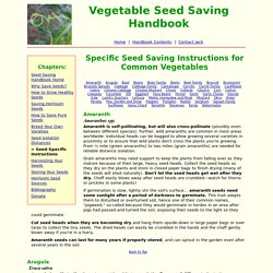 Completely Free, Detailed Seed Saving How-To for All Common Garden Vegetables