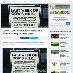 London Cafe Completely Ditches Dairy After Watching YouTube Video