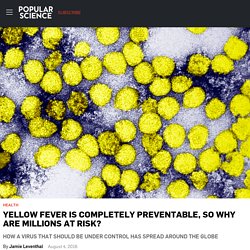 Yellow Fever Is Completely Preventable, So Why Are Millions At Risk?