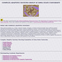 COMPLEX ADAPTIVE SYSTEMS GROUP AT IOWA STATE UNIVERSITY