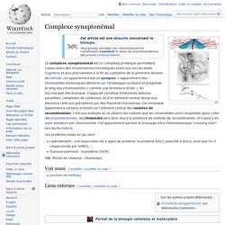 Complexe synaptonémal