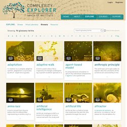 Complexity Explorer - Glossary