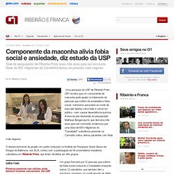 Componente da maconha alivia fobia social e ansiedade, diz estudo da USP - notícias em Ribeirão e Franca