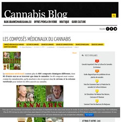 Les composés médicinaux du cannabis