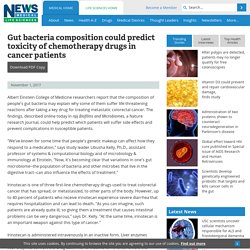 Gut bacteria composition could predict toxicity of chemotherapy drugs in cancer patients