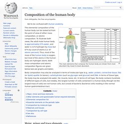 Composition of the human body