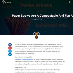 Paper Straws are a Compostable and Fun Alternative! - Wilbistraw compostable straws