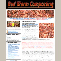 Buy Composting Worms - Red Worms & European Nightcrawlers